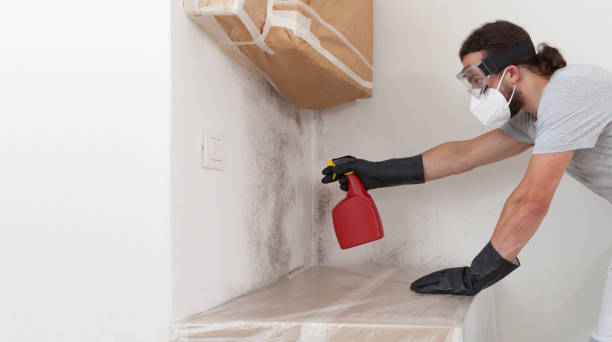 Professional Crawl Space Mold Removal technician working in Corolla, NC